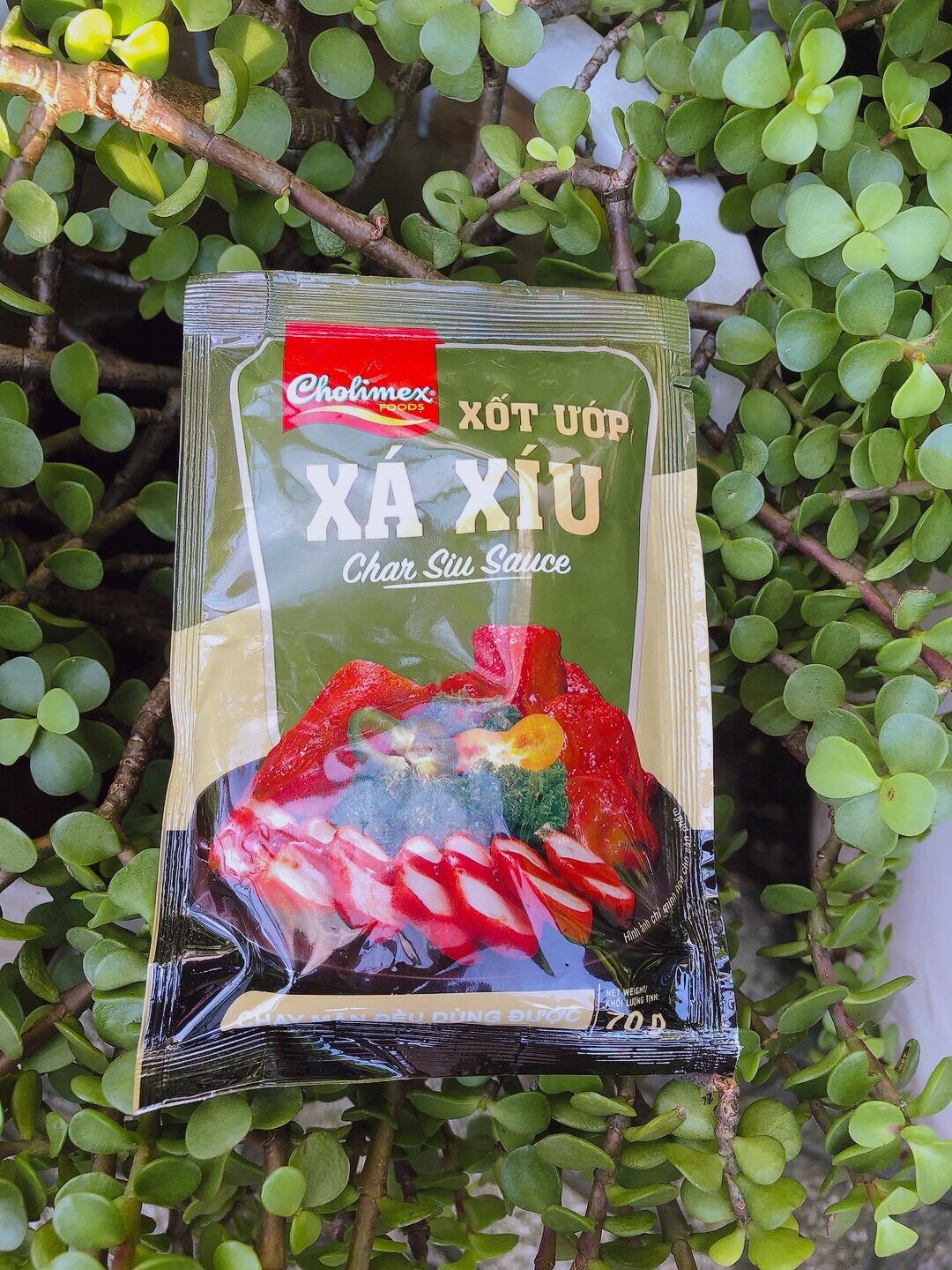 [HCM]Bột Nêm Xá Xíu(đặc biệt để ướp gà vịt thịt heo làm xá xíu)