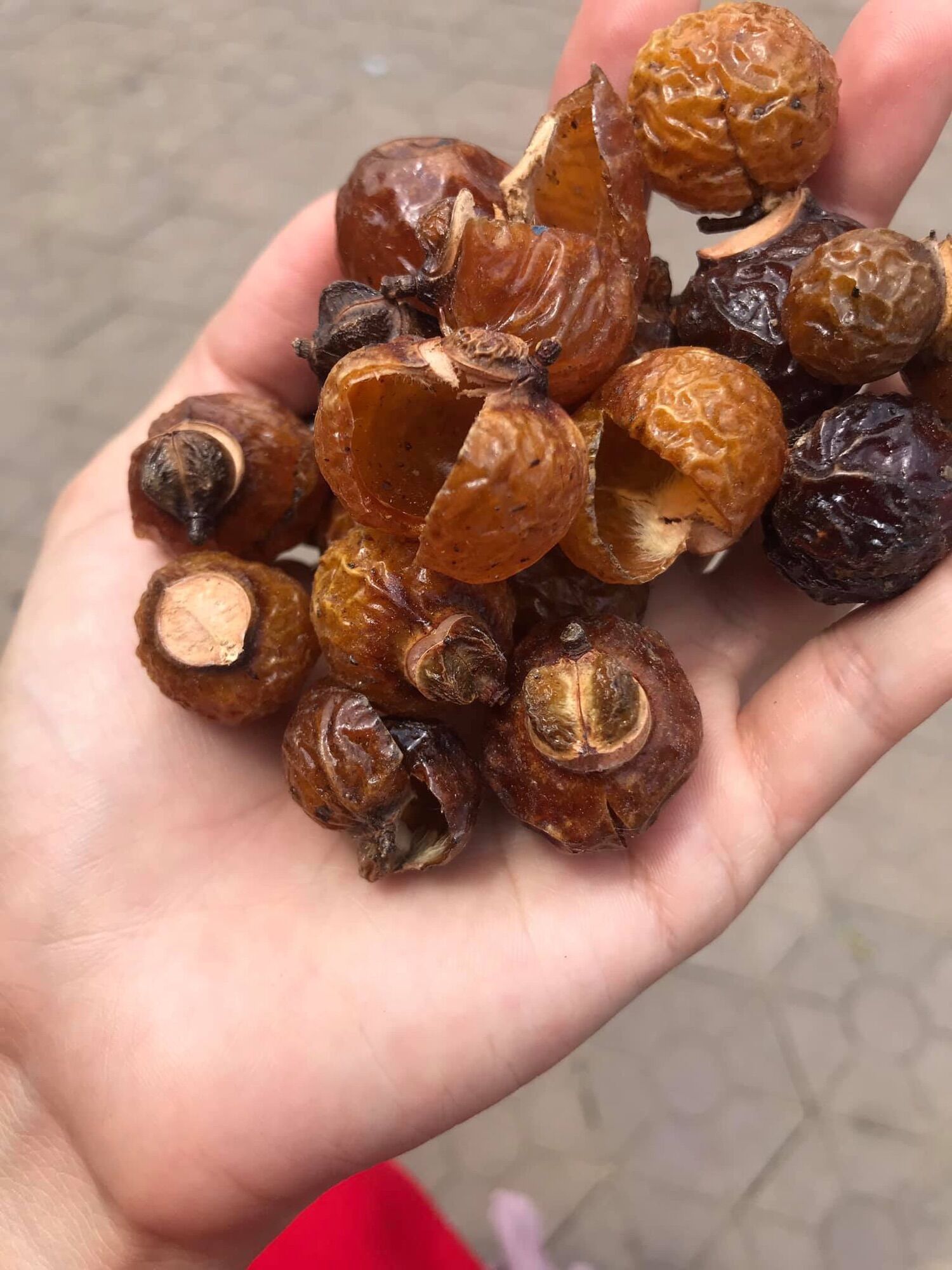1kg bồ hòn quả tách hạt loại 1 - vụ mới