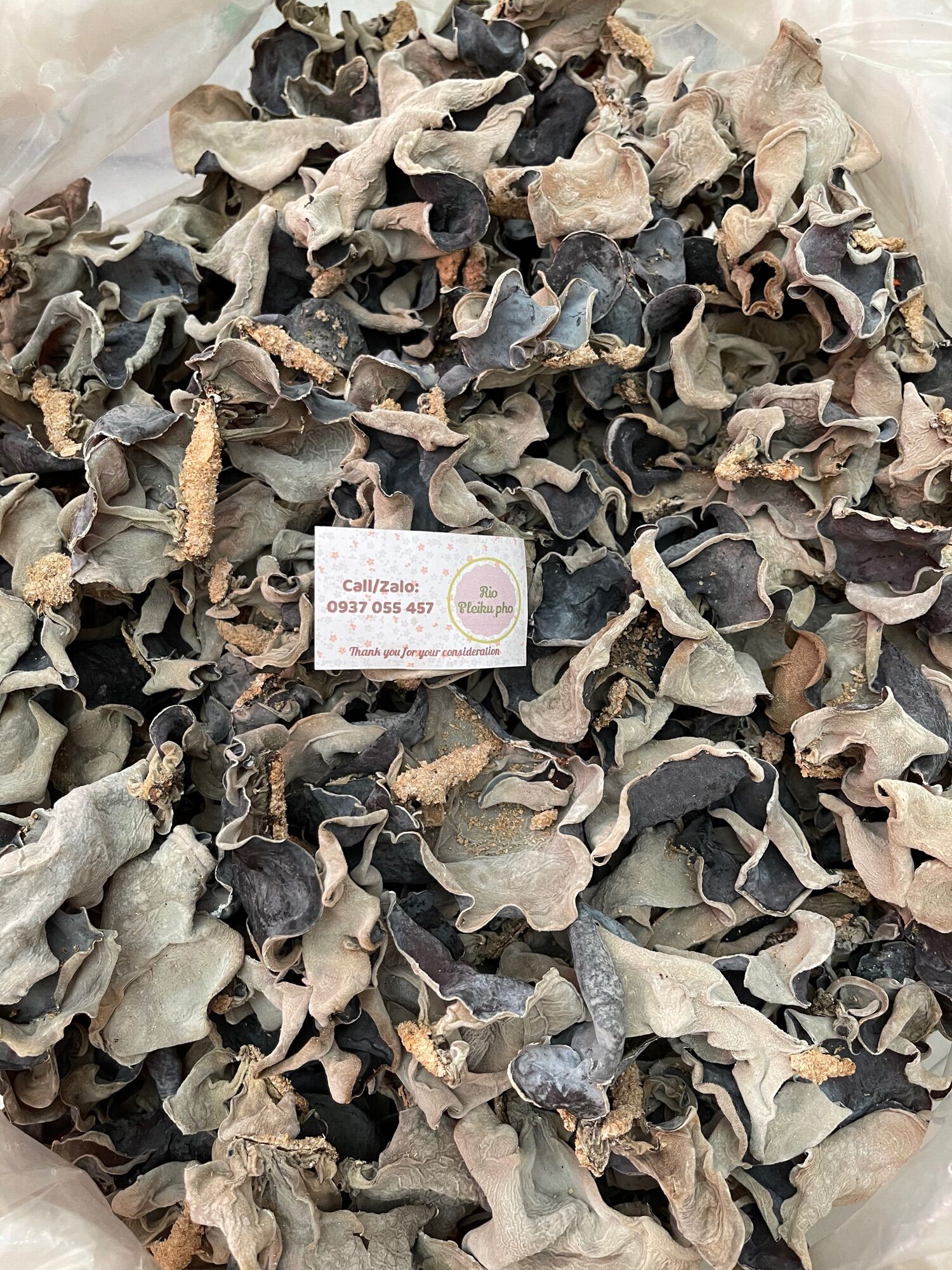 100gr nấm mèo hai da gia lai