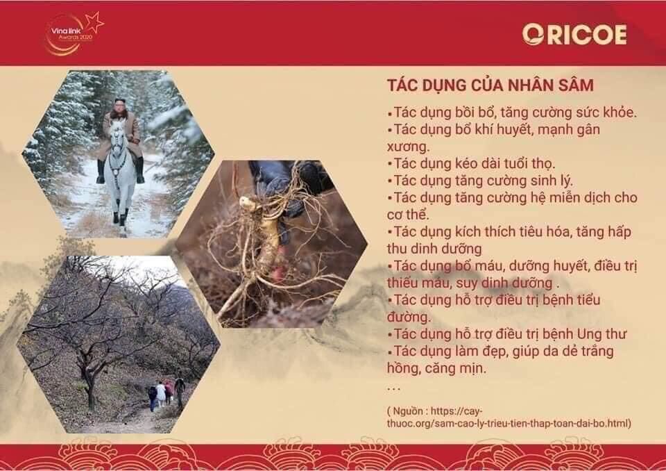 [HCM]Cốt sâm Triều Tiên - Oricoe