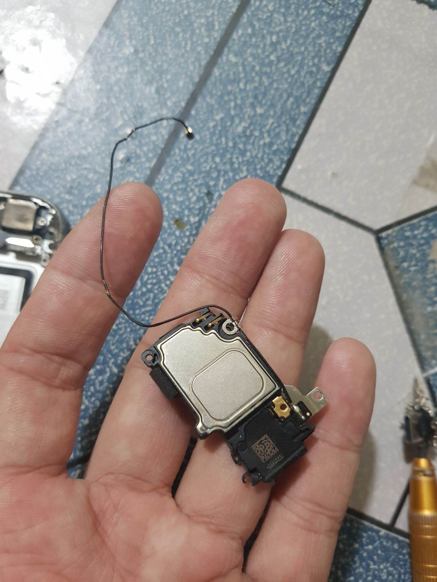 Loa ngoài chuông iphone 6s zin máy
