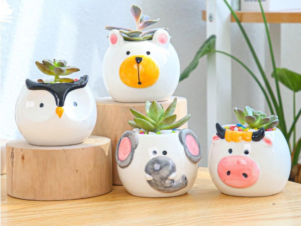Set chậu trồng cây mini hình thú