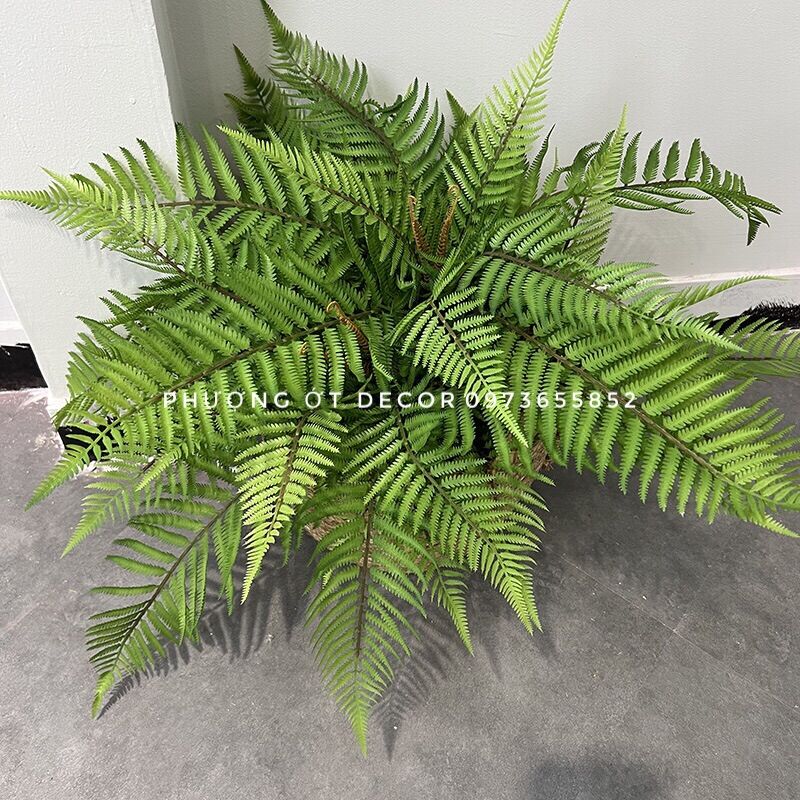 👉 cây dương xỉ giả loại đẹp giống thật đến 99%