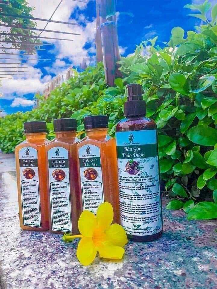 COMBO Dầu gội thảo dược + Tinh chất thảo dược
