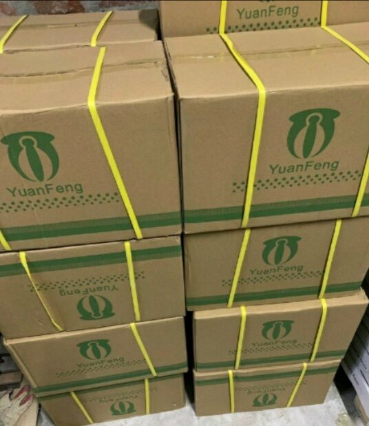 2 lọ keo dán đa năng PJ 77.Dán Mút Xốp...600ml