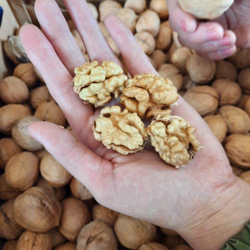 Quả óc chó Mỹ loại mỏng vỏ _Túi 500g