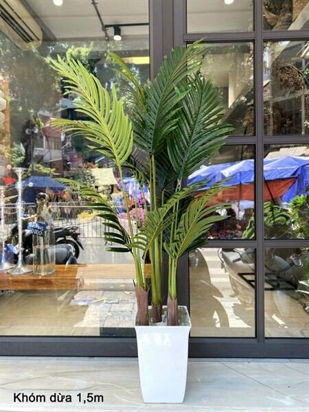cây giả cây dừa cảnh cao 1.55met - 1,8m