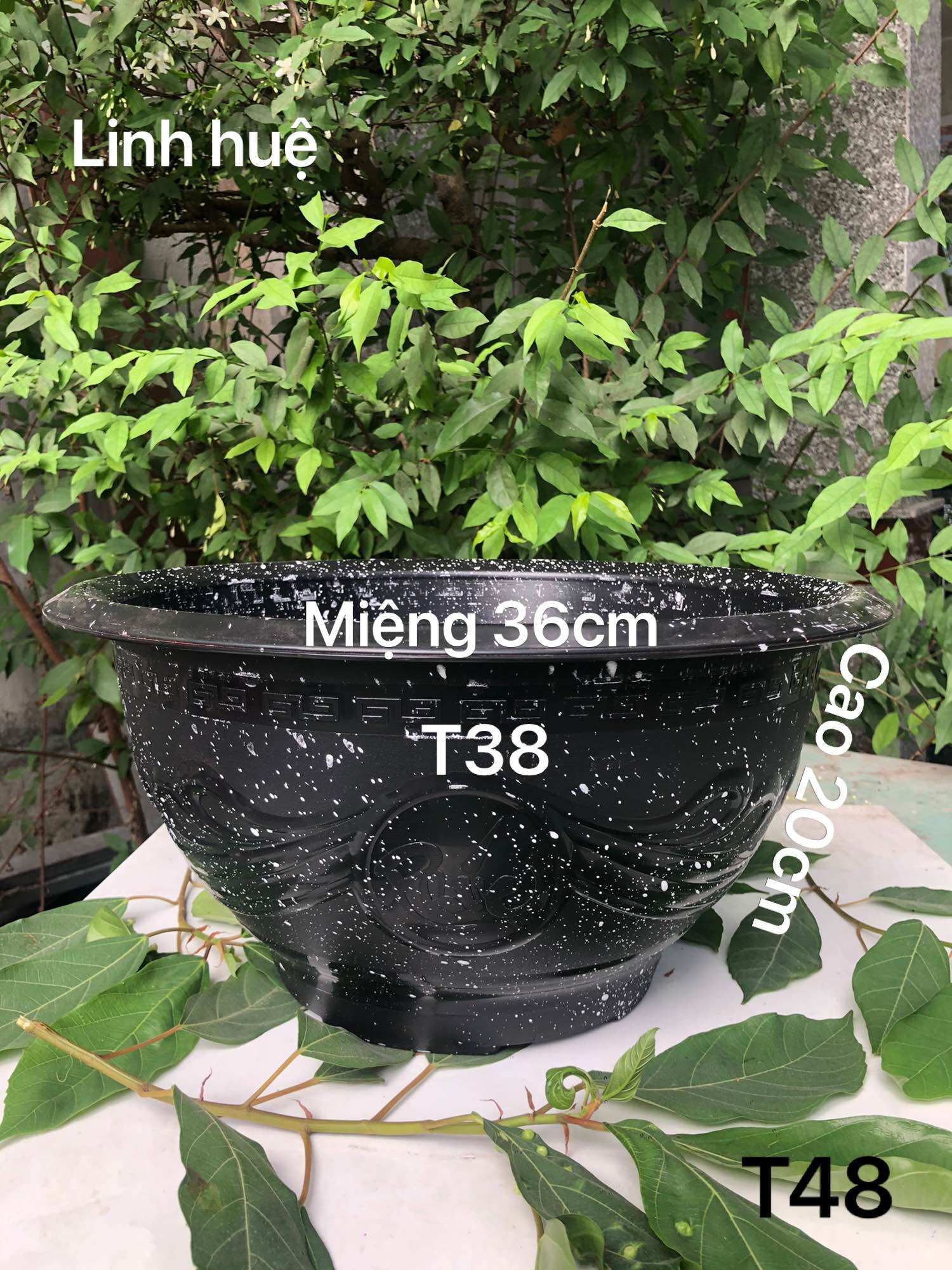 Chậu nhựa trồng cây 5 cái T38 vân đá đen dày dặn