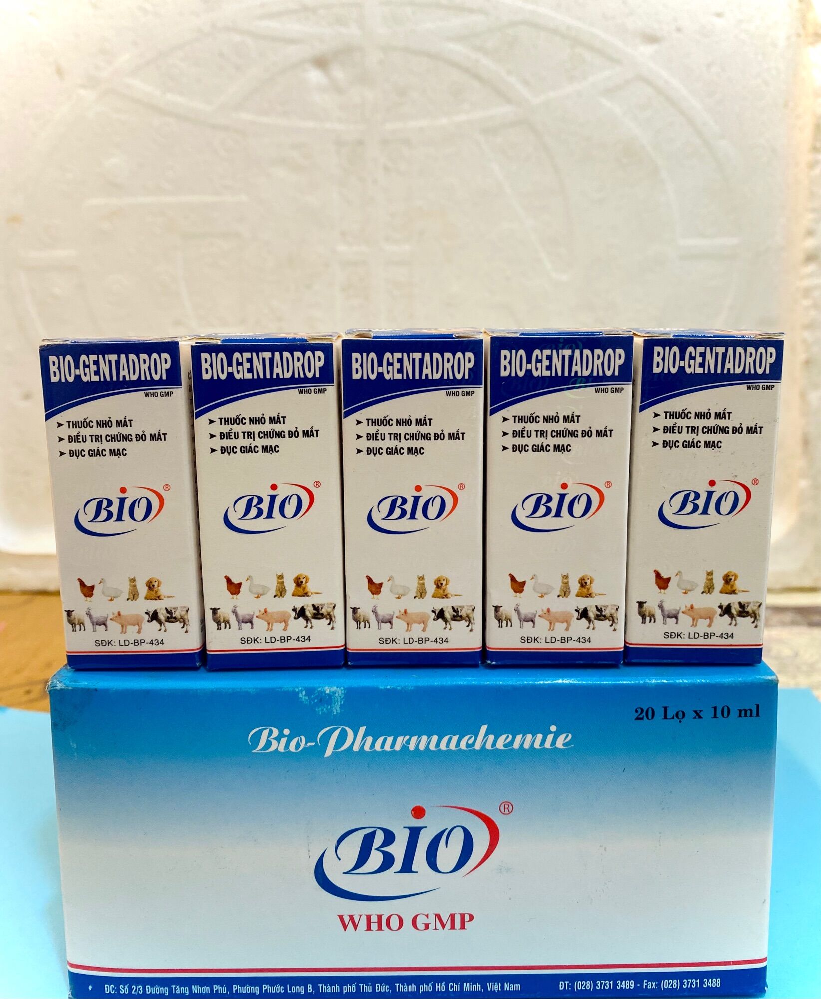 Bio Gentadrop(10ml) Gà đá, gà kiểng, thú cảnh có bọt mắt, sùi bọt, đau mắt dùng trong Thú Y
