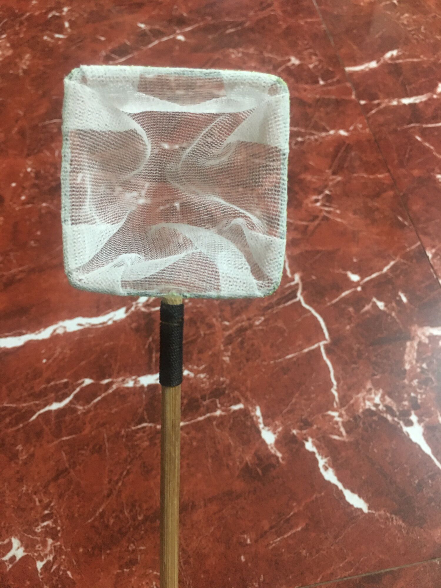 Vợt vớt bobo, lăng quăng, cá cảnh và vớt cả thế giới
