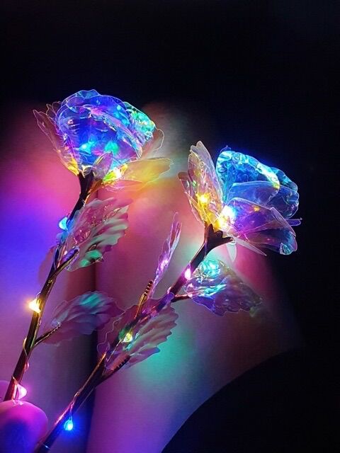 Hoa hồng hologram