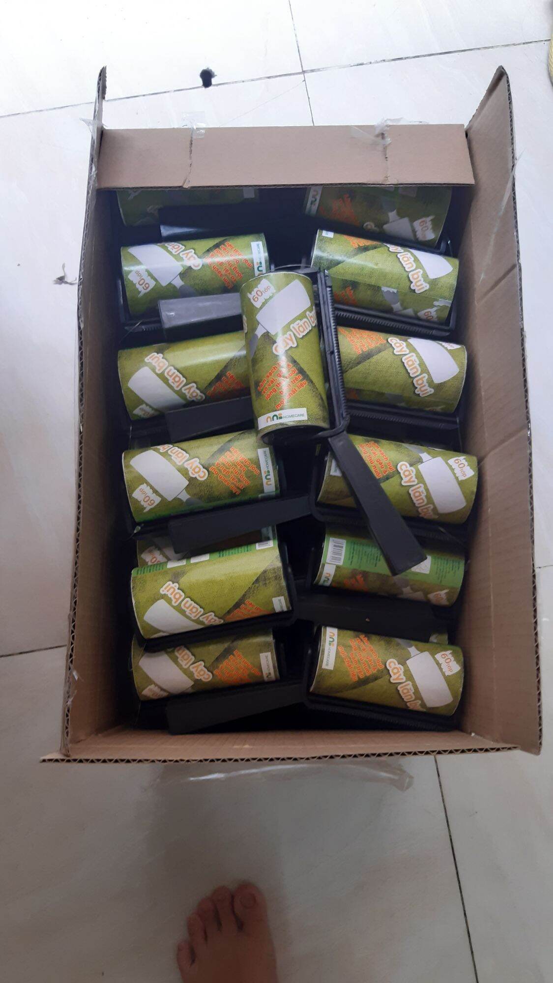 Cây Lăn Bụi 60 Lớp NNB(1 cây)