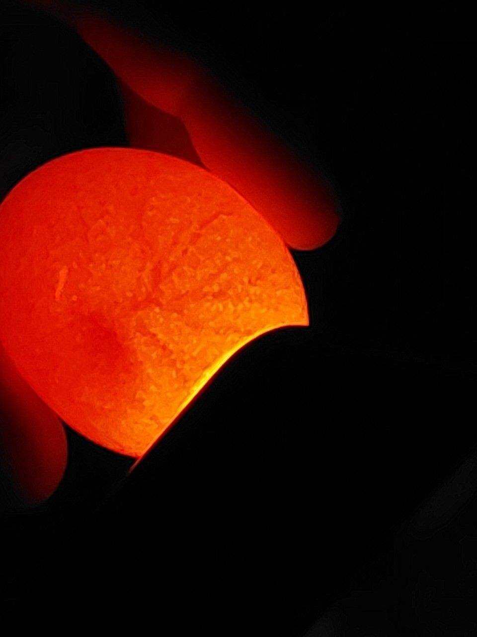 GÀ NÒI VIỆT RẶC ,10 TRỨNG GÀ NÒI VIỆT ẤP NỞ CON GIỐNG .TRẠI GÀ NÒI THÀNH ĐÔNG LONG AN.