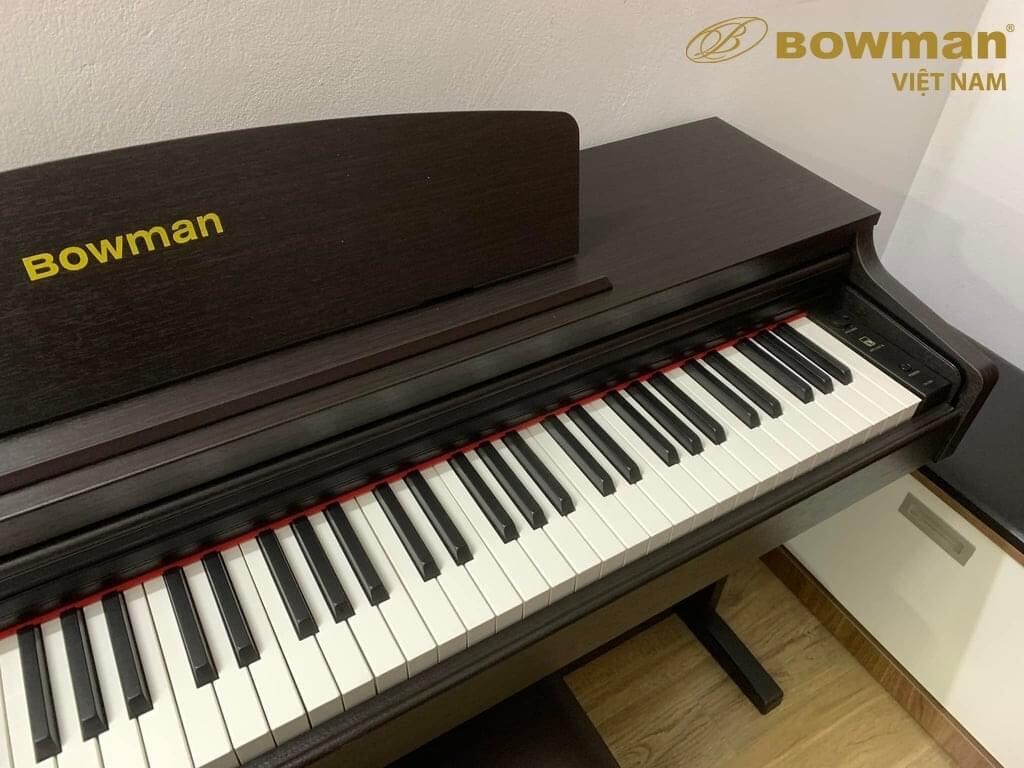 Bowman cx 250 from Korea, hàng chính hãng nhập khẩu nguyên chiếc.