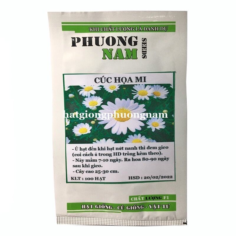 Hạt giống hoa cúc hoạ my