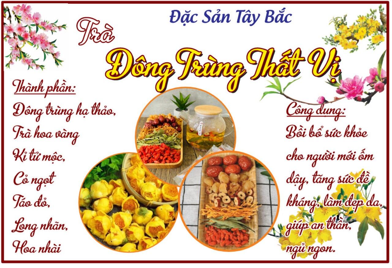 Trà đông trùng hạ thảo.
