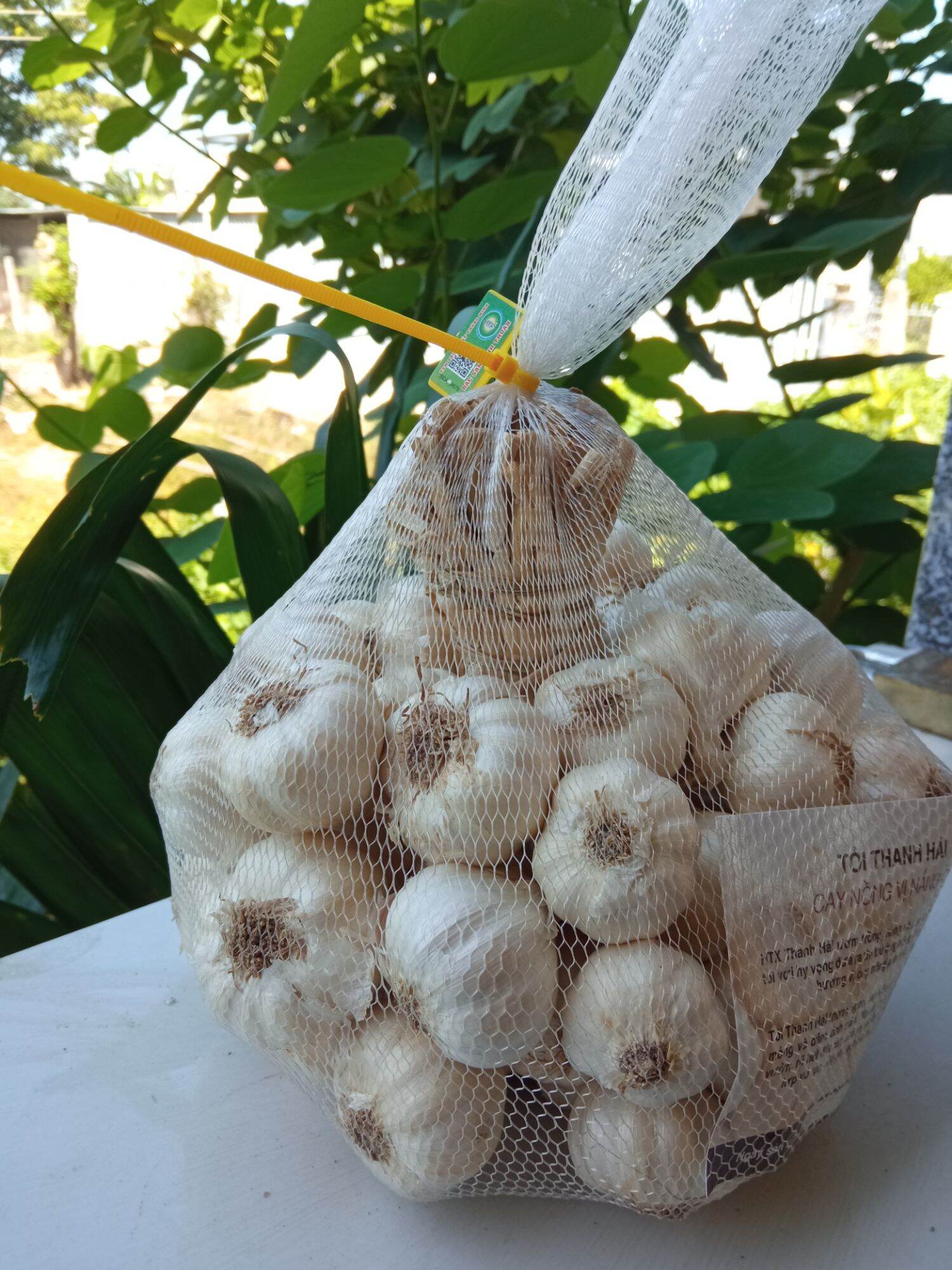1kg tỏi Phan Rang loại 1
