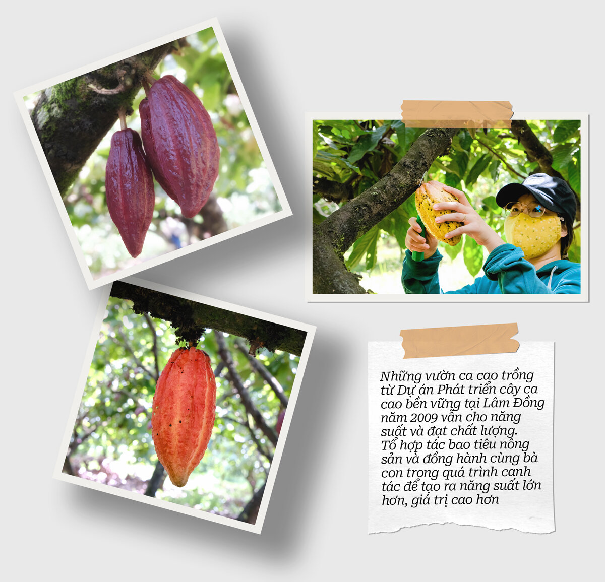 Dark chocolate 72% bar - Vietnam chocolate Bản Cacao