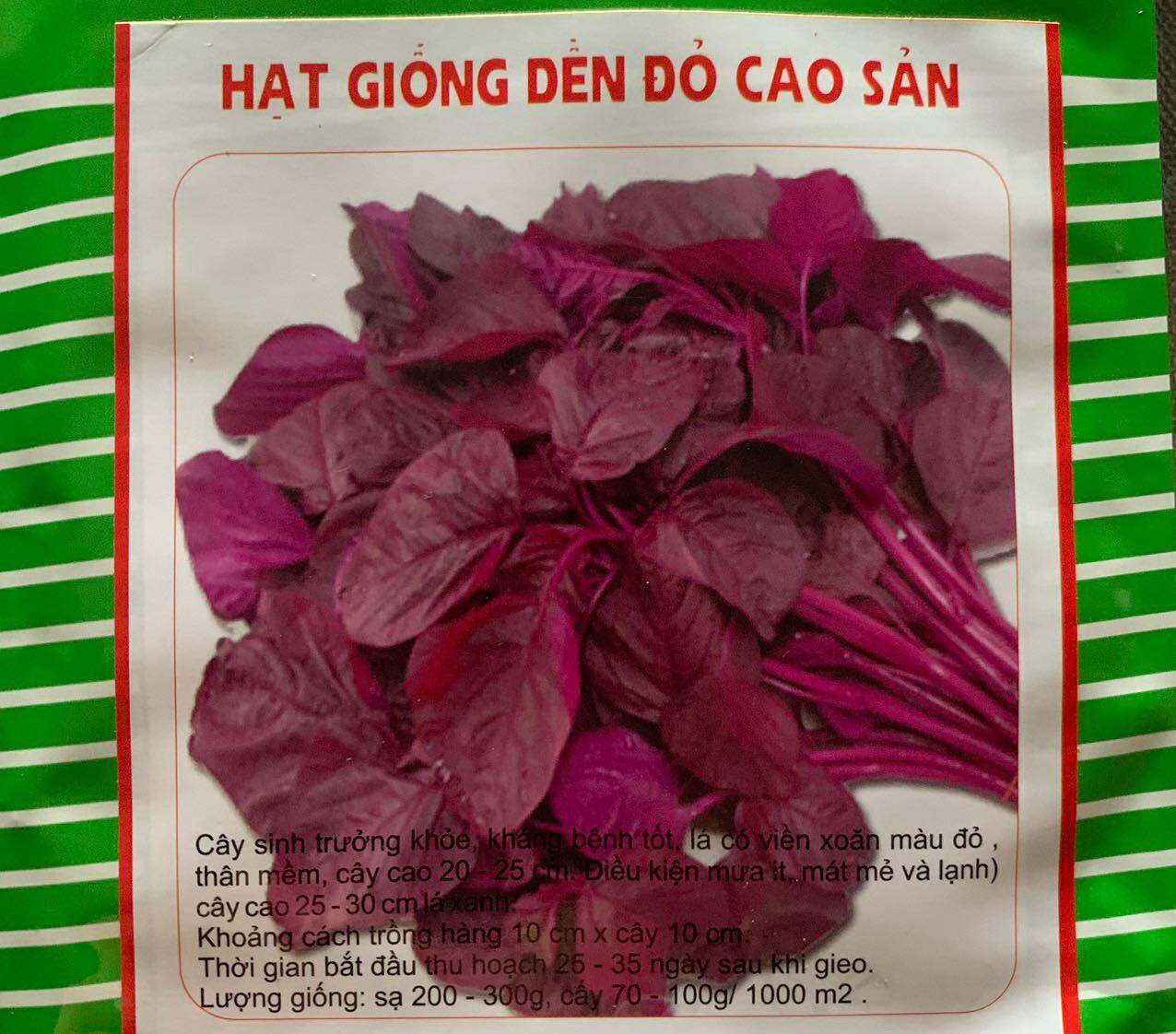 Hạt giống rau dền, đền đỏ, dền xanh, dền khoang, gói 20gram