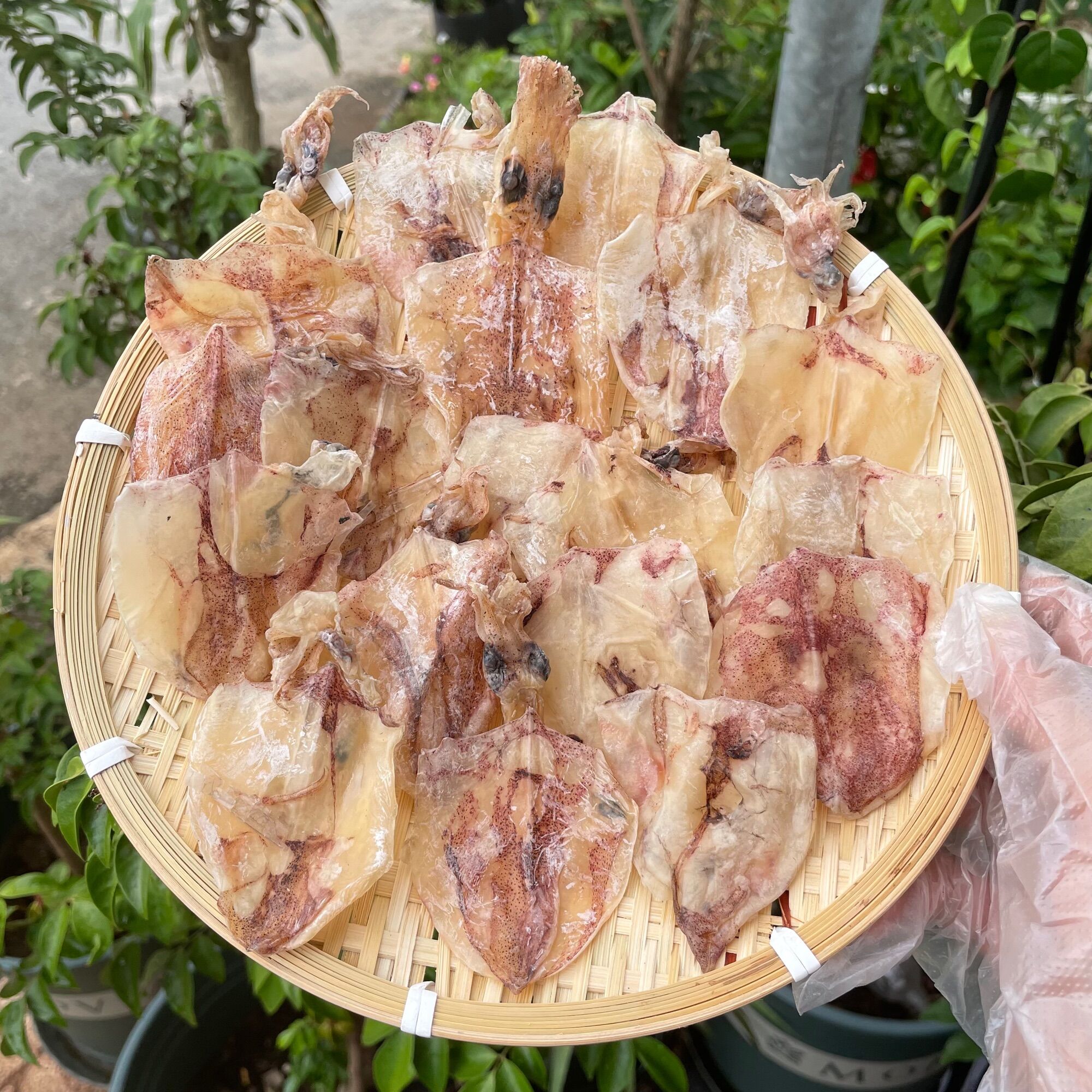 Khô kiên giang-500g mực khô/mực bọt ,mực thường dùng làm mực rim/ trộn gỏi