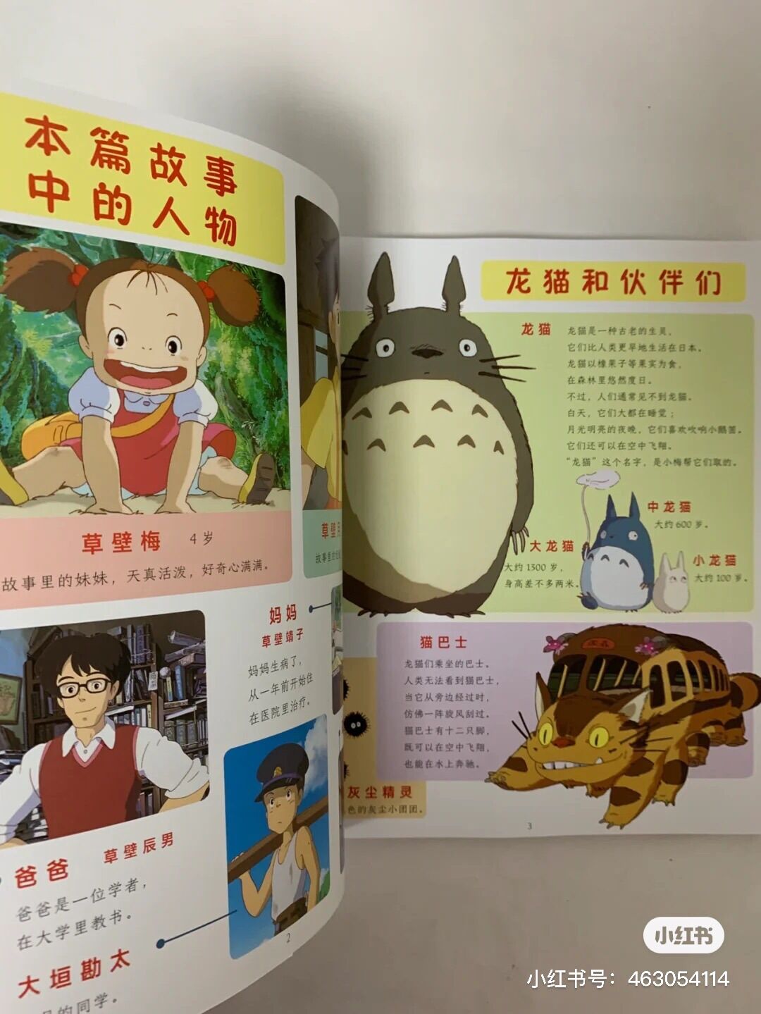 Hàng xóm của tôi là Totoro