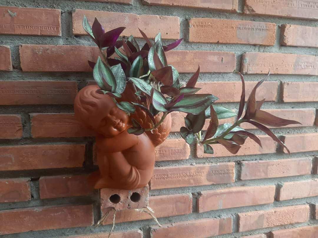 Chậu đất nung Bình Dương dáng thiên thần