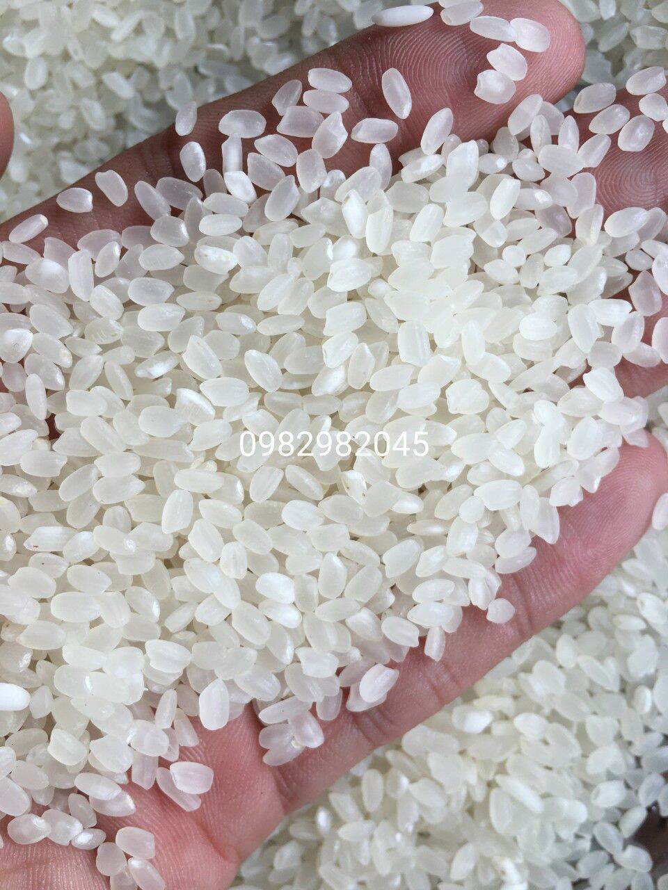 Gạo Nhật bao ăn ,thơm ngon thượng hạng
