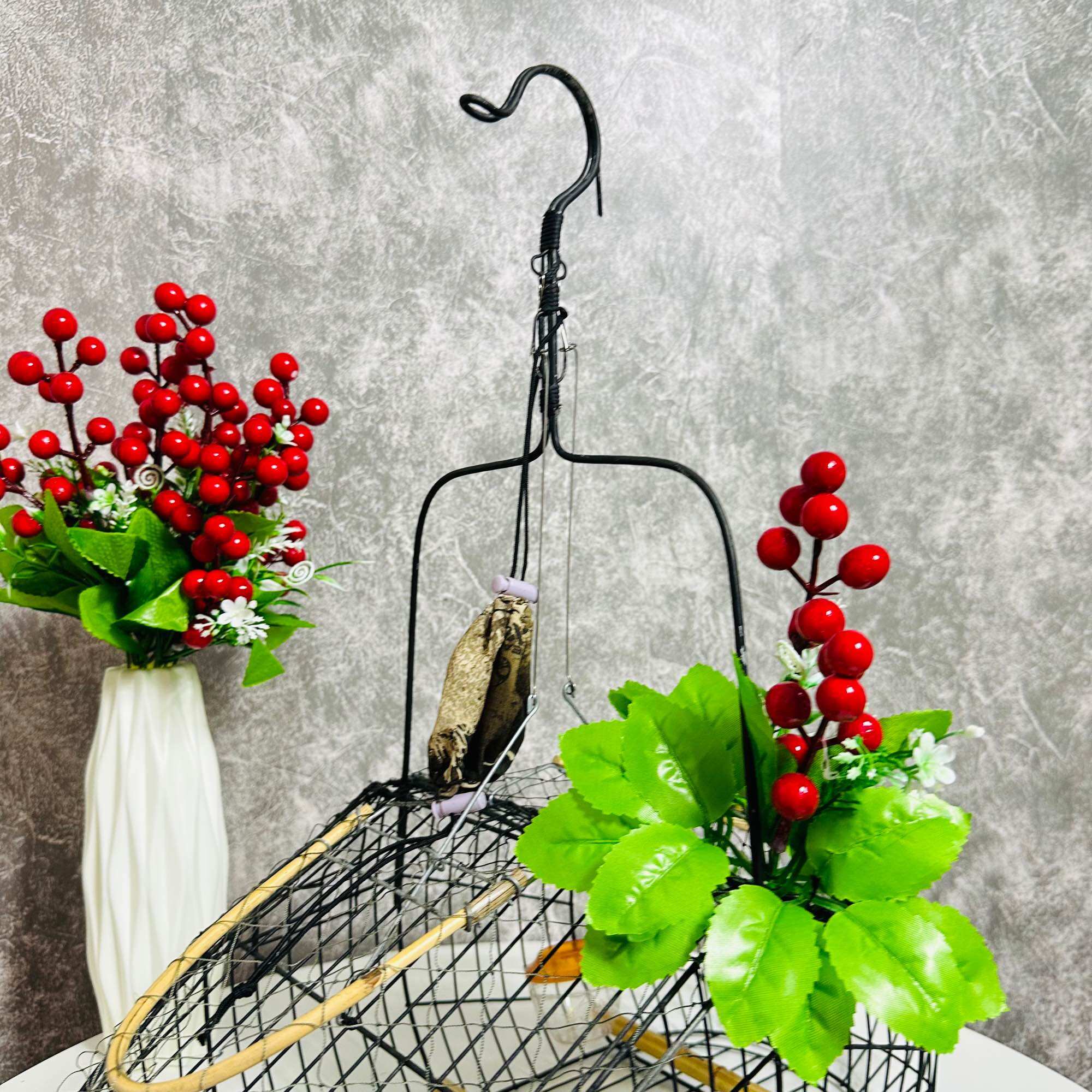 Lồng Bẫy Chim Chào Mào, Chòe Than, Chòe Lửa, Khướu Sơn Đen