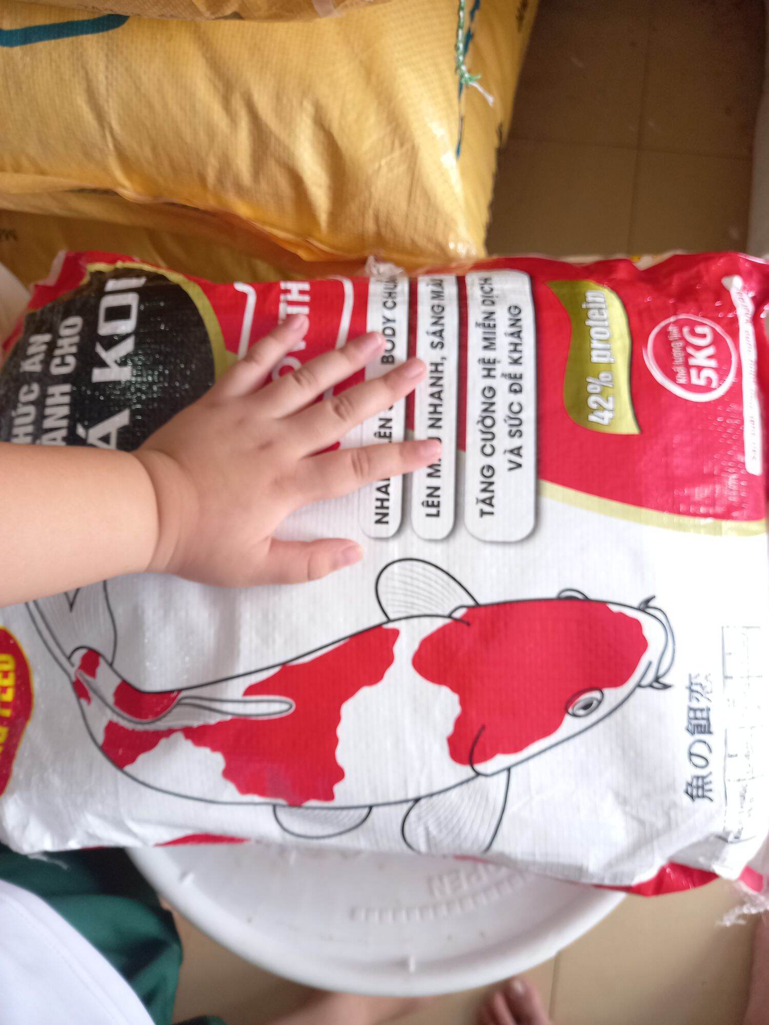 Thức ăn chuyên cho cá koi 1kg/ gói hiệu Kingfeed