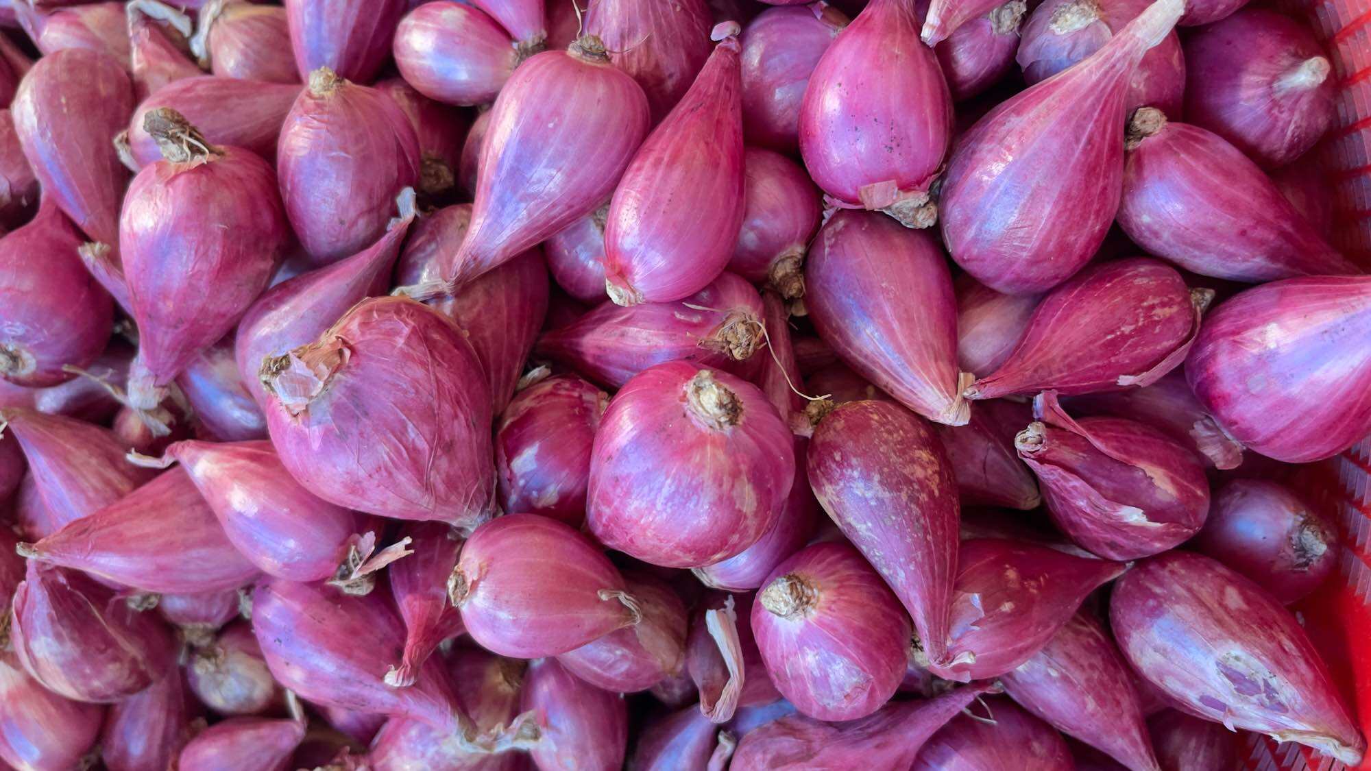 Hành tím lý sơn quảng ngãi túi lưới 500g