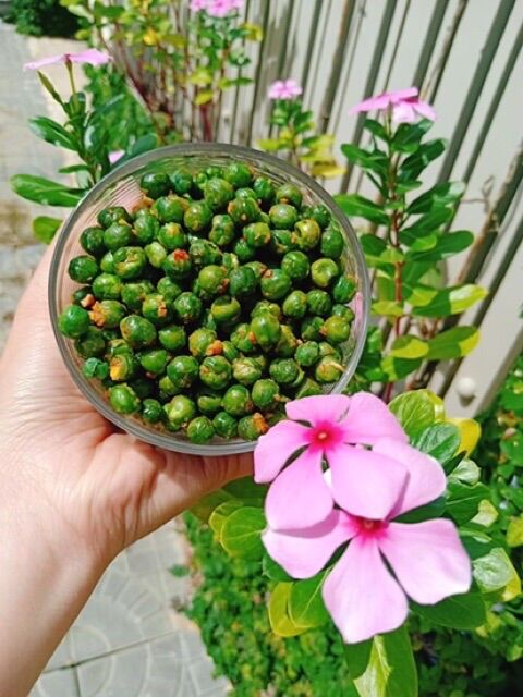 500GR ĐẬU HÀ LAN RANG TỎI ỚT