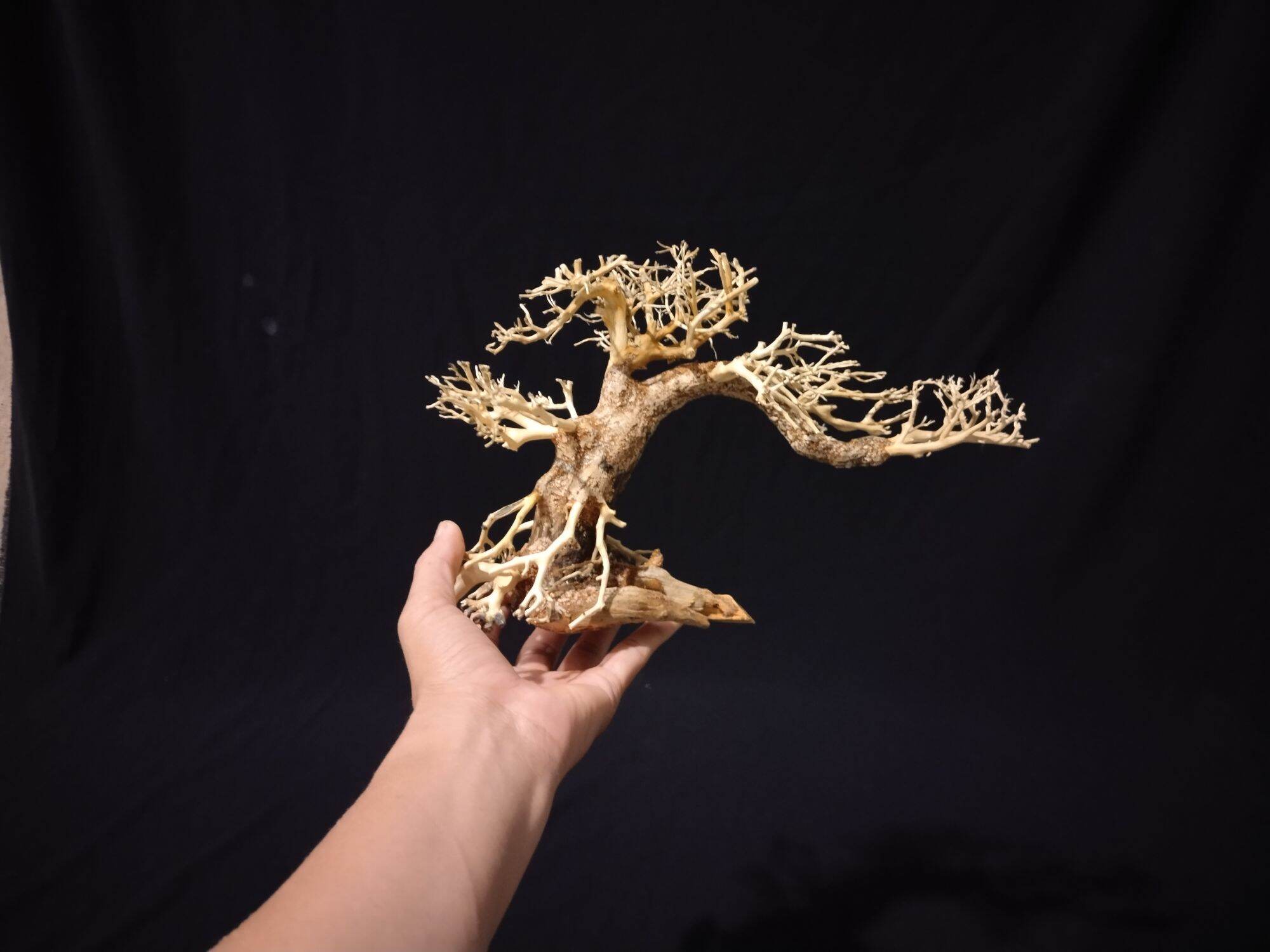 Lũa bonsai thủy sinh mini cho hồ cá 10 x 15 cm