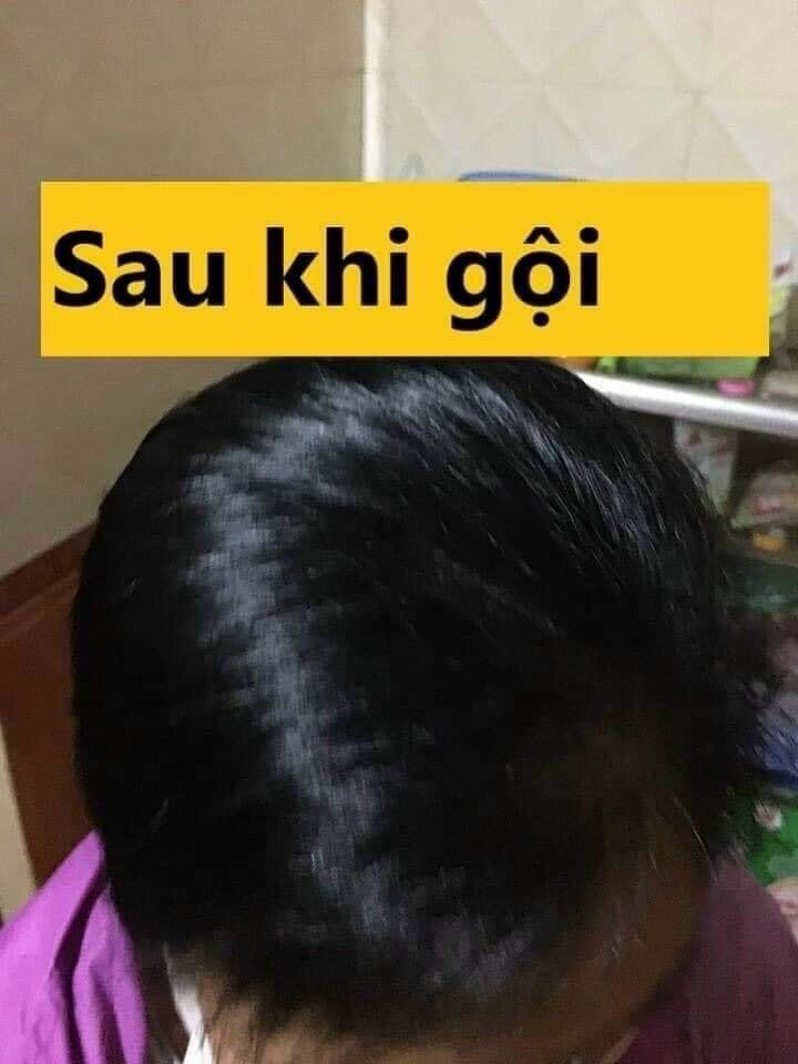 Dầu gội phủ bạc Nhân Sâm thảo dược Hàn Quốc