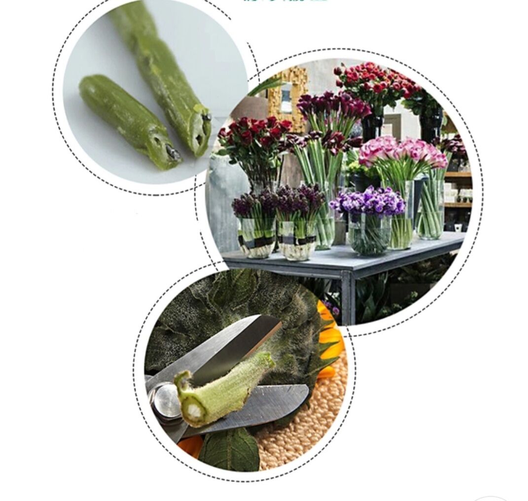 [Nhập RS0822 giảm 30k cho đơn 99k]1 cái kéo cắt cành.