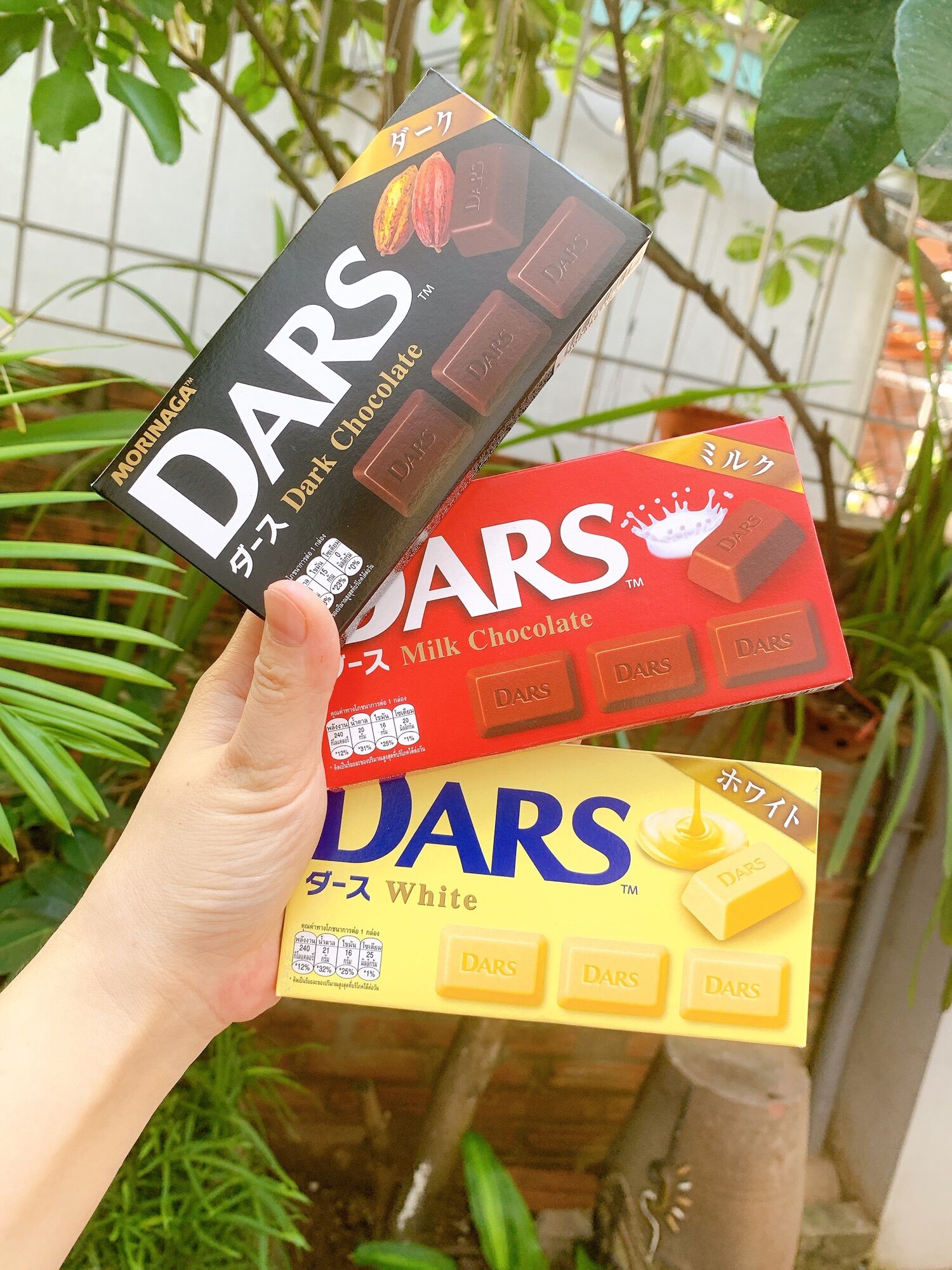 Socola Morinaga Dars 5 Vị hàng chuẩn 42g(12 viên/hộp)