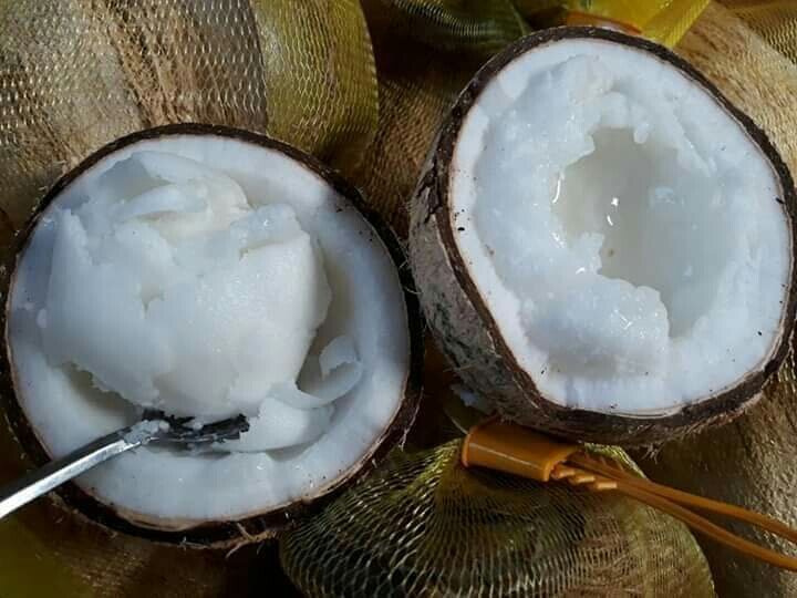 Dừa sáp loại đặc biệt , sáp mềm , nước đặc , trái to hơn 1kg