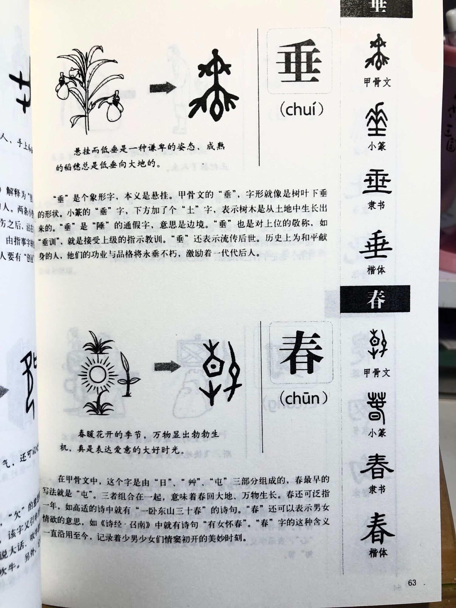 Câu chuyện chữ Hán