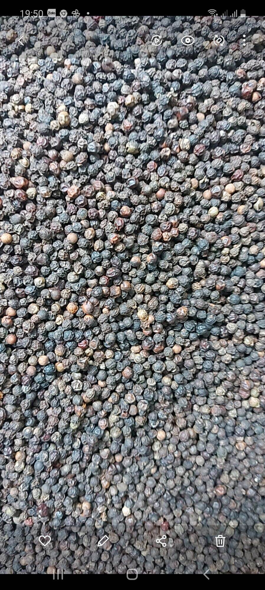 500g hạt tiêu đen loại đặc biệt