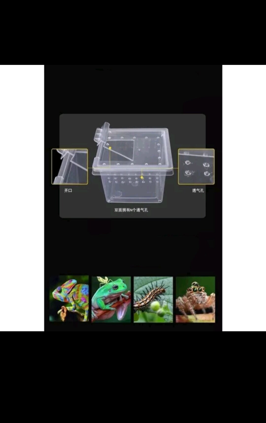 HỘP Nuoi Bò Sát