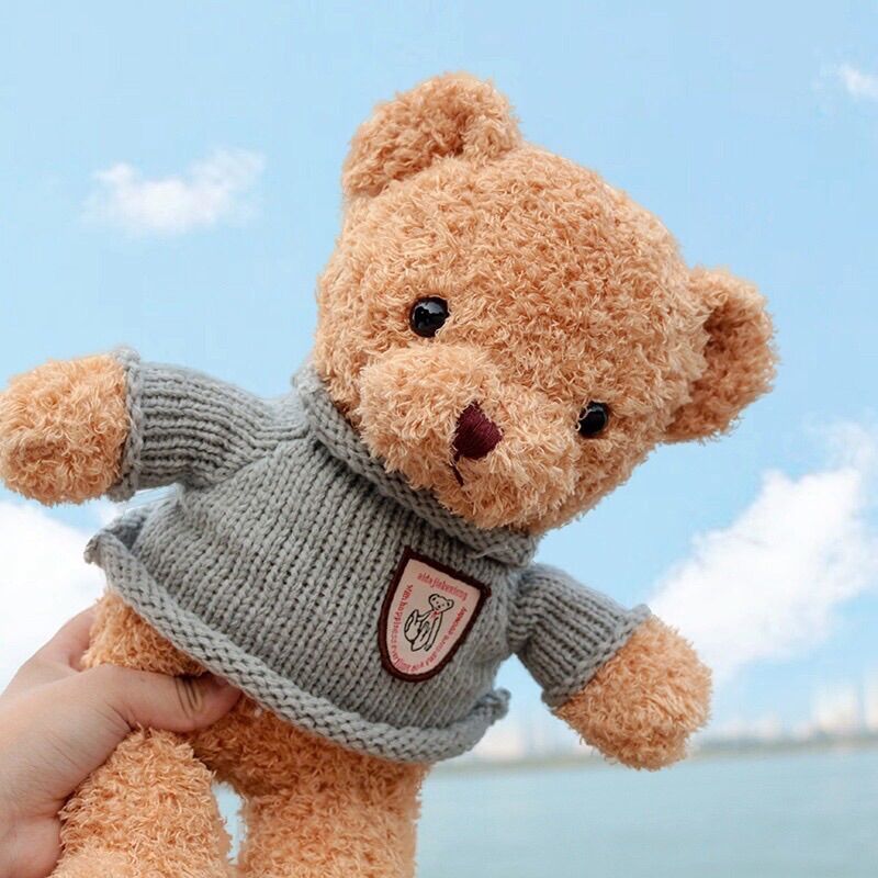 Gấu bông teddy 2 màu xinh xắn cho bé