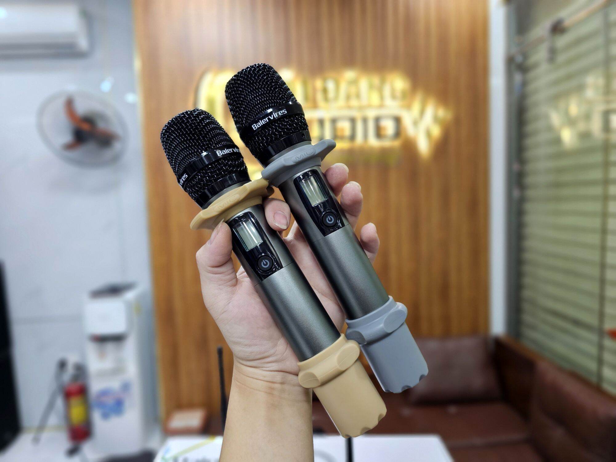 Micro không dây Baiervires BS9100 chính hãng 2024.Hai phiên bản màu