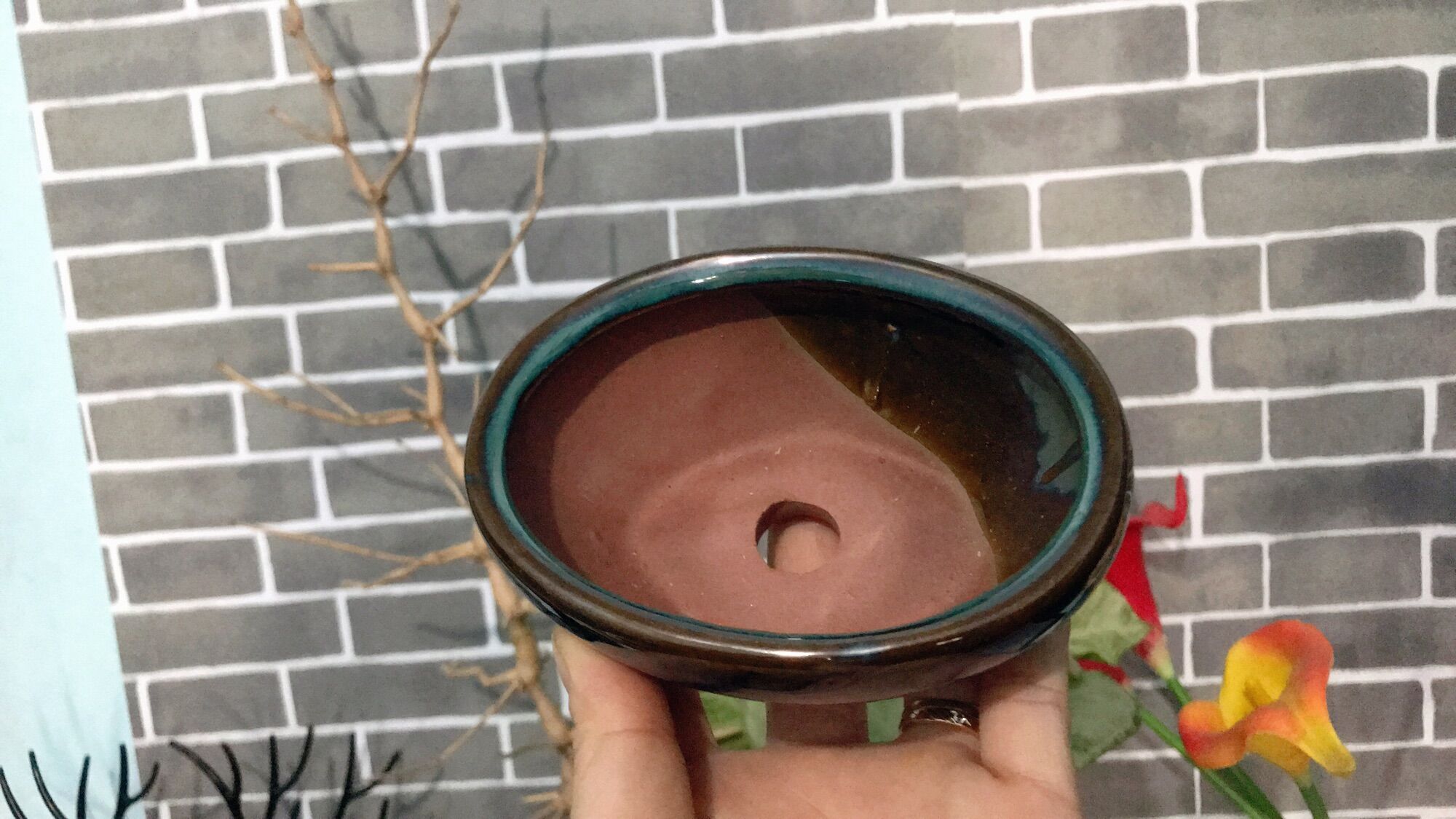 Chậu sứ trồng cây hình oval