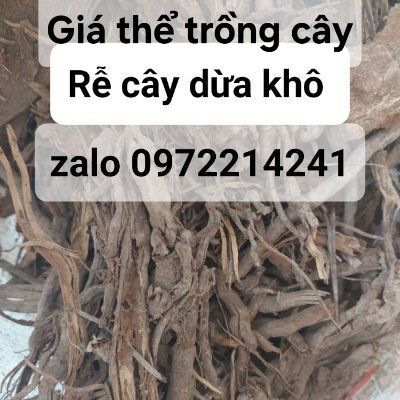 ĐẤT THỊT TRỒNG CÂY (ĐẤT PHÙ SA MẶT RUỘNG KHÔNG PHA TRỘN) 3kg