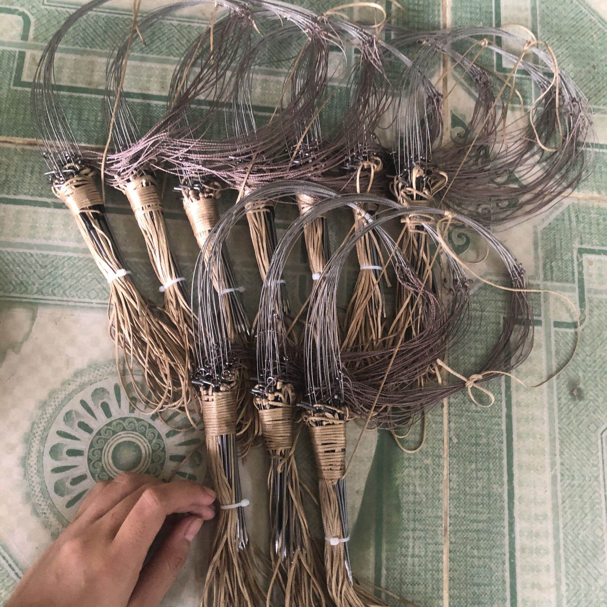 Giò bẫy gà rừng chân thép