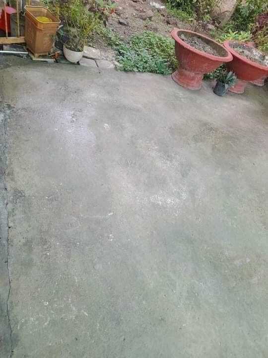 BỘT TẨY RONG RÊU