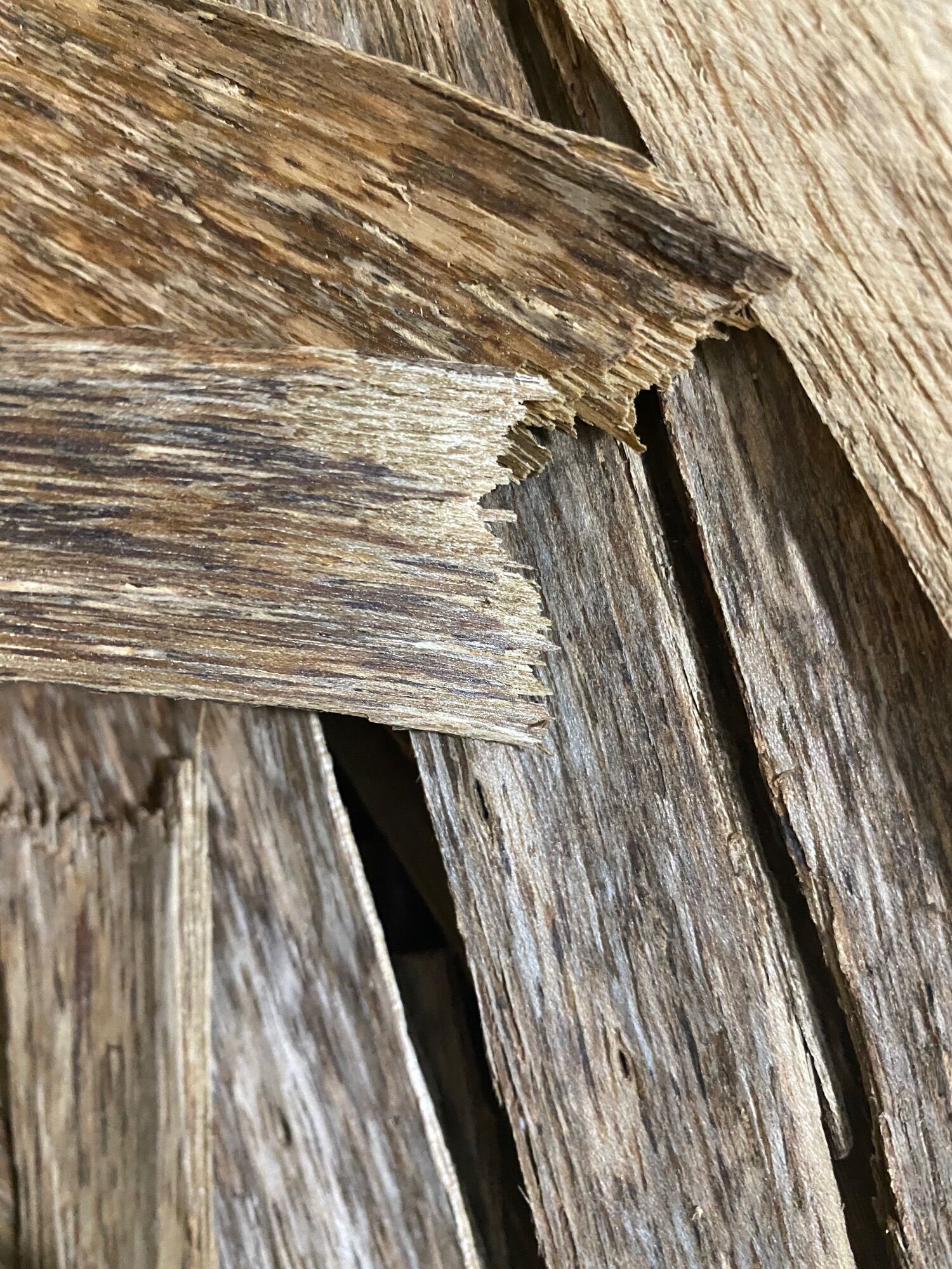 Xông trầm hàng xỉa. Miếng loại 1