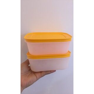 2 hộp trữ đông 450ml Gen 2 Tupperware