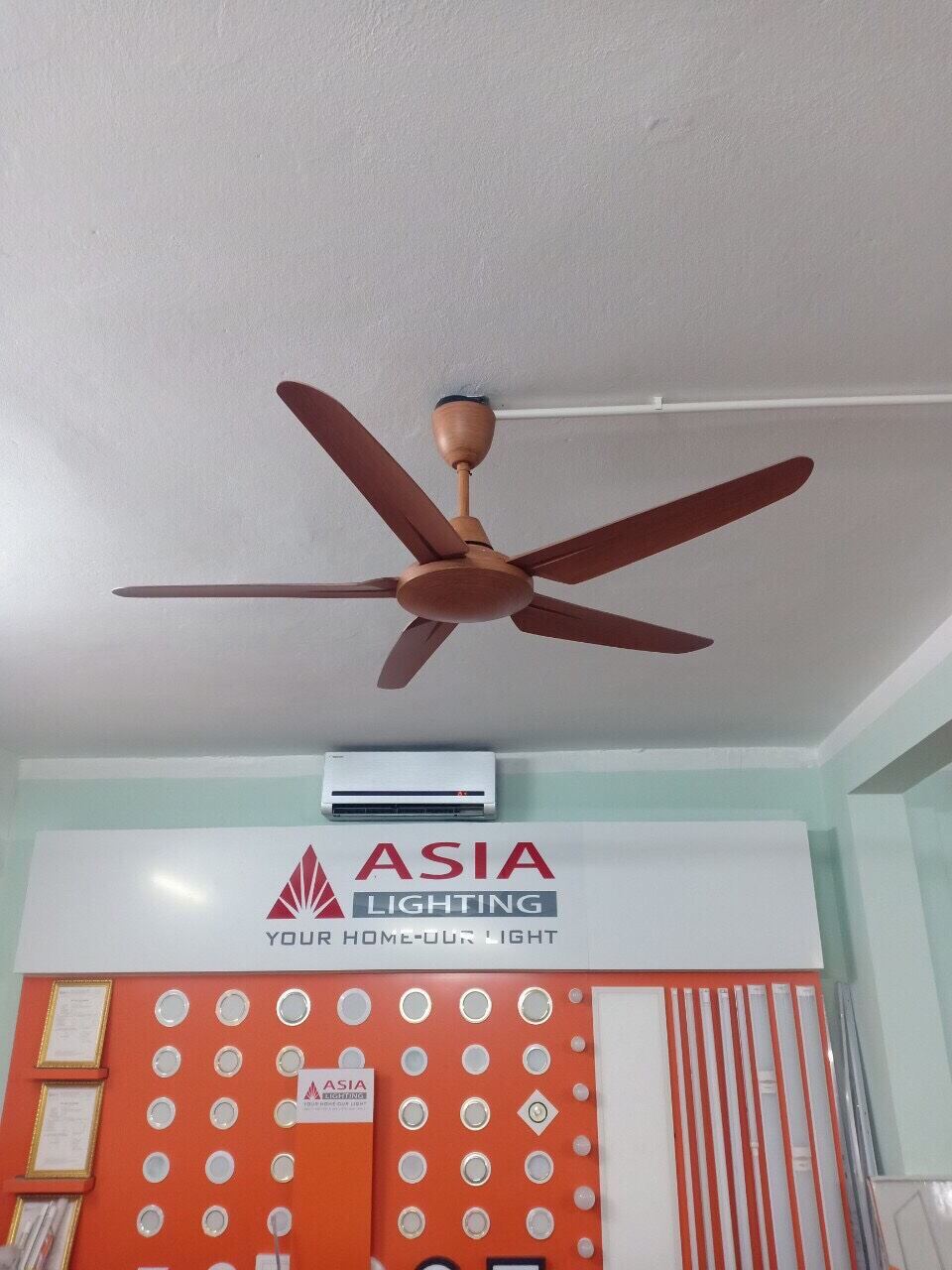 Quạt trần 5 cánh QT05 Asia trang trí