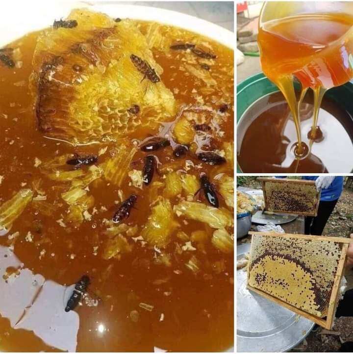Mật ong nhãn Sơn La chuẩn nguyên chất 1lit