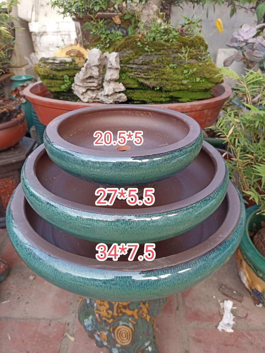 Bộ 3 chậu ang tròn cao cấp màu lẫn lộn